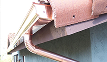 green-roof-drainage-integration Experts in Friars Point